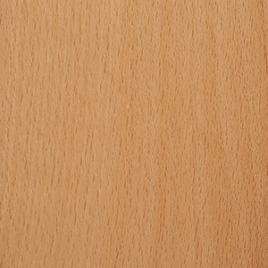 Beech Feature in Natural