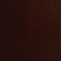 Cabernet
