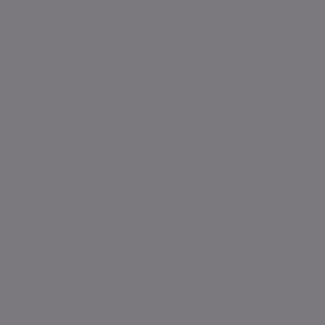 SW 6277 Special Gray