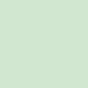 BM 2034-60 Light Pistachio