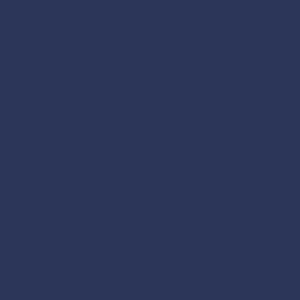 BM 2064-10 Bold Blue