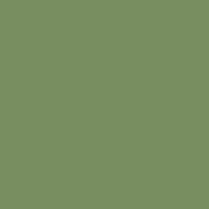 SW 6438 Dill