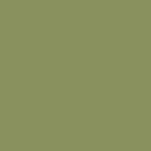 SW 6431 Leapfrog