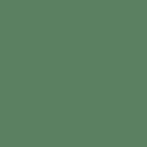 BM CW-525 Raleigh Green