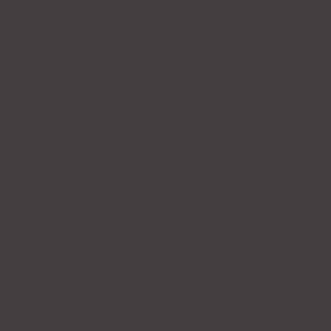 SW 7083 Darkroom