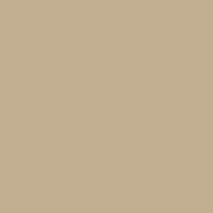 SW 6157 Favorite Tan