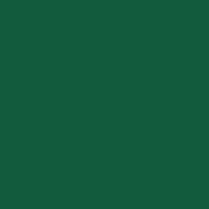 BM 2040-10 Rainforest Foliage