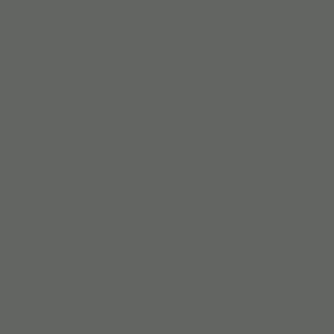 SW 7068 Grizzle Gray