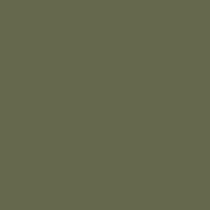 SW 6180 Oakmoss