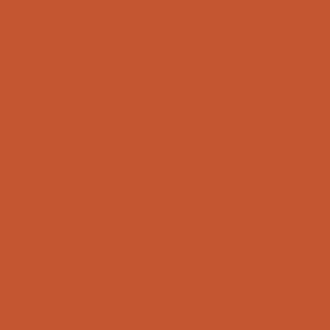 SW 6883 Raucous Orange